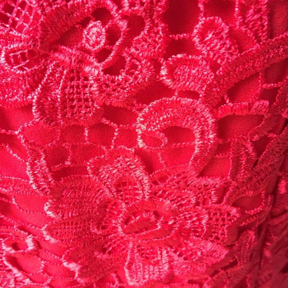 Calvin Klein Coctail Lace Overlay Red Dress Size 10 🌸 - Picture 6 of 8